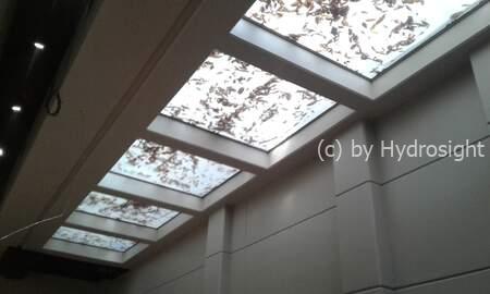 Colección de autos iluminada