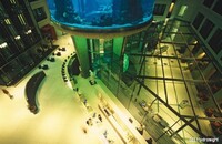 Das weltweit gr&ouml;&szlig;te zylindrische Aquarium