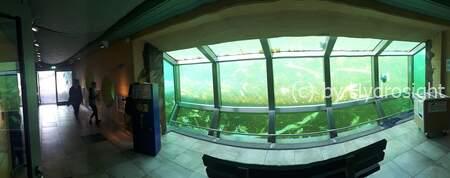 Spezialverglasung für die Seehundstation Friedrichskoog