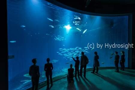 Ventana Curva para Acuario: Ozeaneum Stralsund